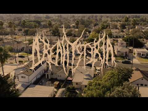 AreaHysteria - Legalon