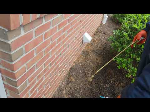 Exterminating the Ants Outside of the Home in Pine Beach, NJ