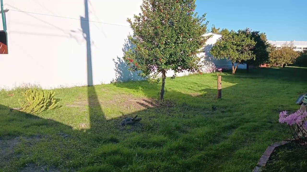 Vídeo do imóvel