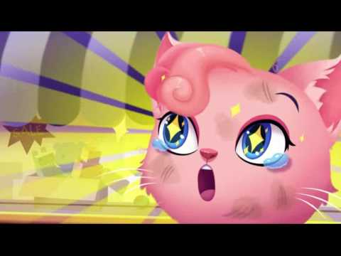 Talented Pets Show Video