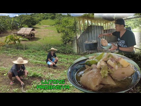 Sinampalukang pata ng baka at kabute sa talbos ng SAMPALOK | Lutong Probinsya, Buhay Probinsya 