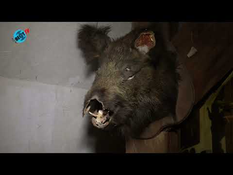 Ridder Lenny Vries met kasteelschip in Alkmaar (19 januari 2020)