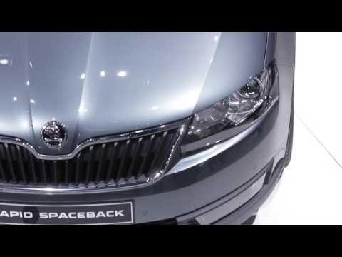 YENİ SKODA Rapid Spacebackt 