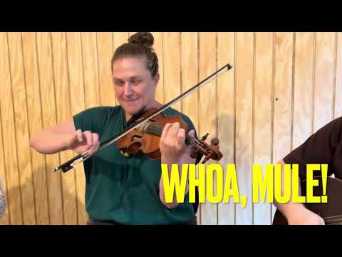 Whoa, Mule! Hot Oldtime Fiddling by Deb Shebish with  Evan Kinney & Micah Spence