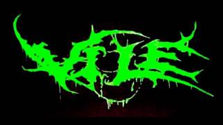 VILE   PATH TO INCINERATION DEMO