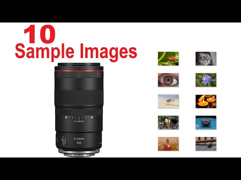 Canon RF 100mm F2.8 Macro Portrait [Sample Images] Medium Telephoto Lens for Close-Up Photography