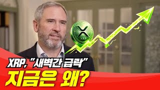   KR  탐색 건너뛰기 코인우먼      만들기   아바타 이미지  리플 새벽 급락, 지금은 왜?