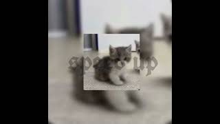 Download lagu jojohf-первый раз(speed up) mp3 Download lagu jojohf-первый раз(speed up) mp3