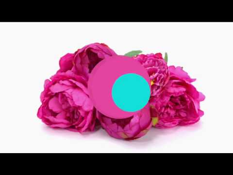 HSN | Concierge Collection Bedding 05.17.2017 - 04 PM