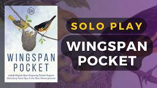 DaniCha - Wingspan Pocket video thumbnail