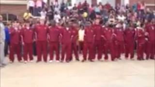 preview picture of video 'Handley High School: Harlem Shake'