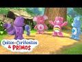 Ositos Cariñositos Colaboración