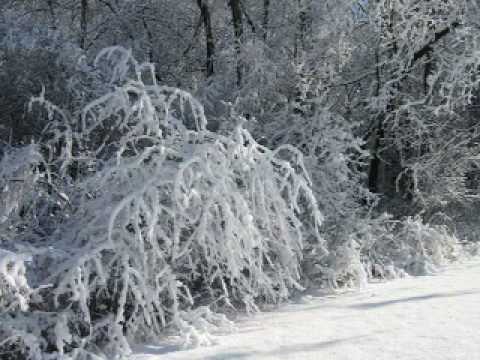 Ave Maria - G. Caccini (Vladimir Vavilov)