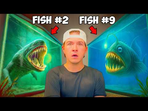 The Scariest Sea Monsters I've Ever Owned in 2025 (so far)