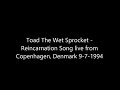 Toad the Wet Sprocket - Reincarnation Song live from Denmark 9-7-1994