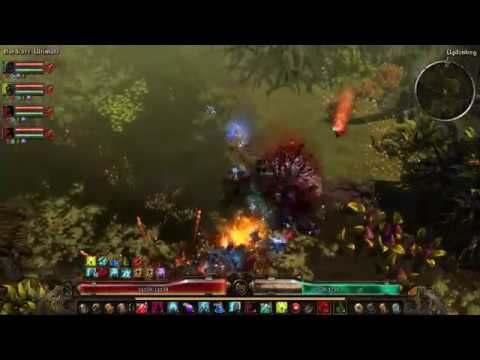 Grim Dawn v1.0.4.0 - My Cabalist Pet Build VS Kubacabra (40 sec) Super Fast Kill