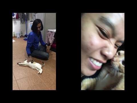 #ourangels: NOVA | SUJI | FIBI