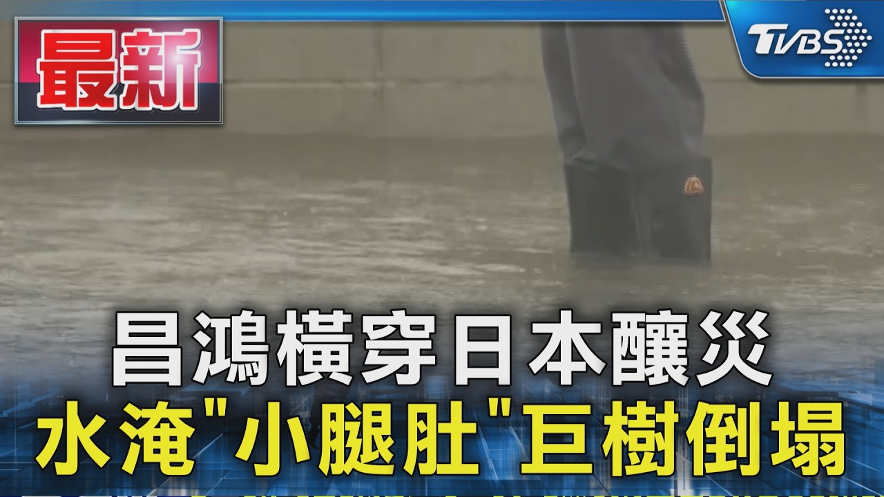 昌鴻橫穿日本釀災 水淹「小腿肚」巨樹倒塌