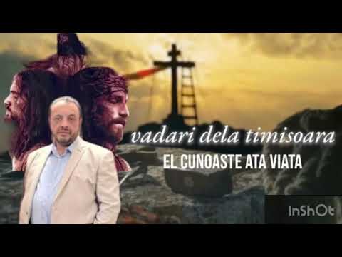 Vadari de la Timisoara - El cunoaste ata viata ( Adiționale Alin din barbulesti