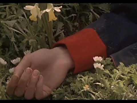 Jan A. P. Kaczmarek – Le Dormeur du Val (OST "Total Eclipse")