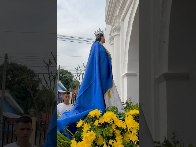 Vídeo relacionado con GALLARDETE MARIANO. Semana Santa Religiosa. Decoración religiosa de tela 70x150 cm. Colgadura verde Ave María. verde. M maría dorado. Decoración balcón. Tela impresa con imagen Ave María (1)