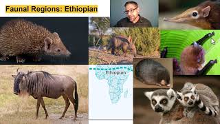 Lecture 4.3_Biogeography and Global Provincialism in Mammalian Distributions