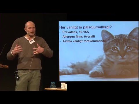 Hur allergivänlig är din hund?