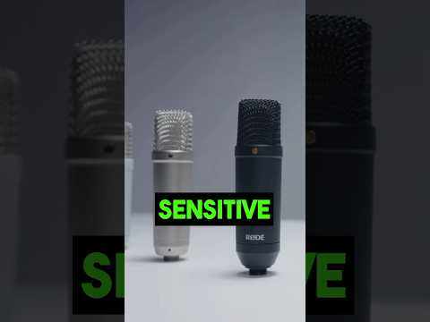 Condenser Mics Are EXTREMELY SENSITIVE! Get acoustic treatment.