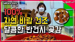 한번먹으면 절대 멈출 수 없는 반건시 곶감 팔아유~ 올해 더  맛있어요!