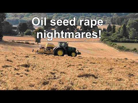 Oil seed rape establishment headaches