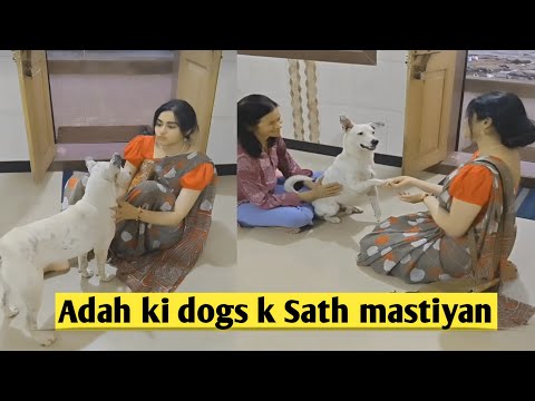 Adah Sharma playing with Dog cute video goes viral| Adah Sharma latest vedios playing with animals|