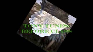 Tony Tunes- Before Class (Instrumental)