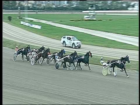 Trotto 18/11/2016 - 2ª corsa