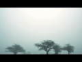 Holden and Thompson - Nothing (Original Mix) 