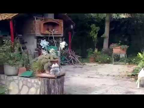 Test Video Wiko Highway