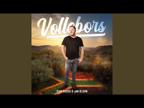 Vollebors