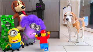 Animations in REAL LIFE vs Funny Dogs 🥳 | Minions - LEGO - Minecraft