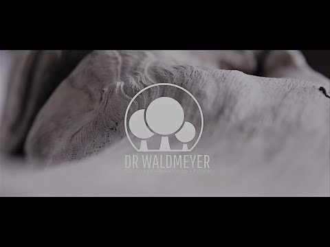 Teleskopprothese Dr Waldmeyer Kassel