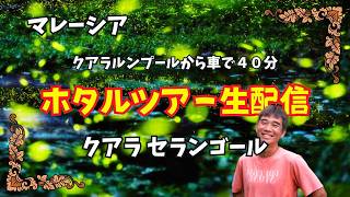 【2026-03-15】今回はバリ島から離れてマレーシアよりイレギュラー配信！ちゃんと映るかな？『ホタルツアー』体験live！