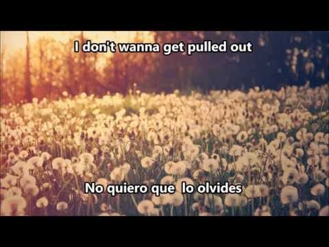 Nonsense - Madeon ft Mark Foster (subtitulado español)