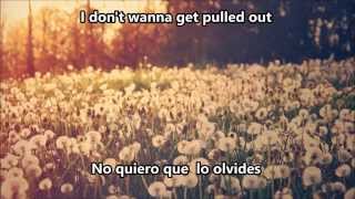 Nonsense - Madeon ft Mark Foster (subtitulado español)