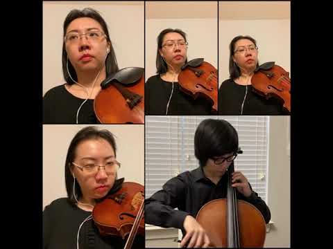 Promotional video thumbnail 2 for Solo Violin and More For All Events