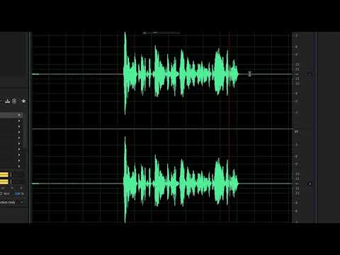 The Basics of Adobe Audition Tutorial