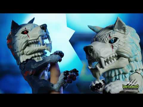 Meet The UNTAMED Direwolves: Midnight and Blizzard