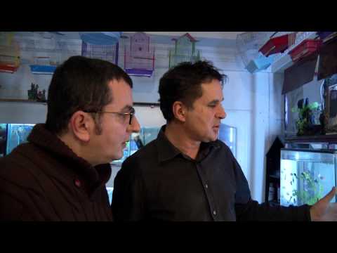 Fisi I Faunes - Episodi 10