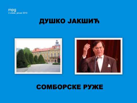 dusko jaksic - somborske ruze
