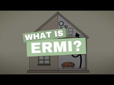 What Is The ERMI Mold Test?