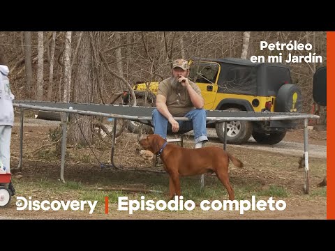 EHD~936685C H264 HD MADRID211125B1153 SEAMLESS