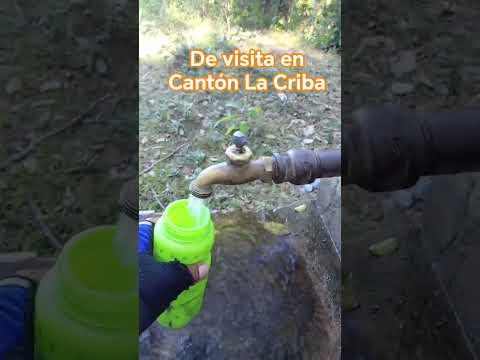 perteneciente a Candelaria de la frontera. Excelente lugar, clima fresco gente amable y trabajadora