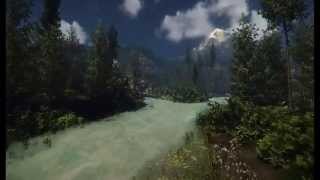 Forest Fly through